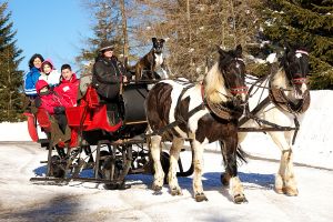 Pferdeschlittenfahrten im Lungau Pferdeschlittenfahrten im Lungau
